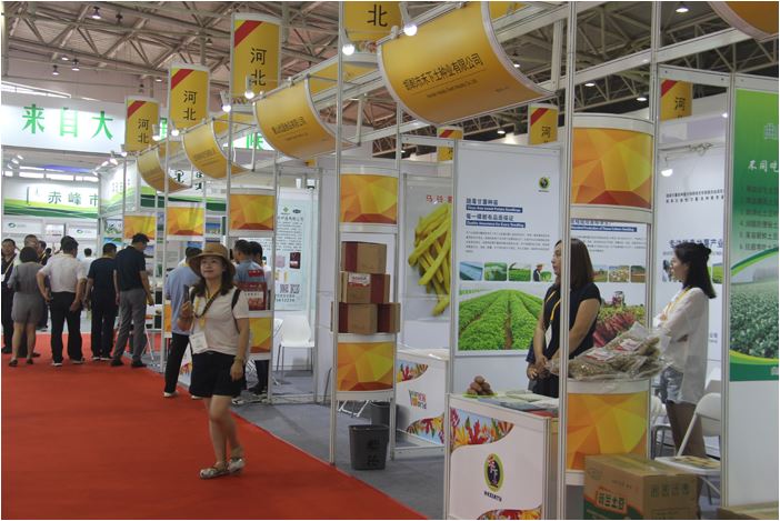 1648174062178451.jpg 2020.3.25.119.JPG